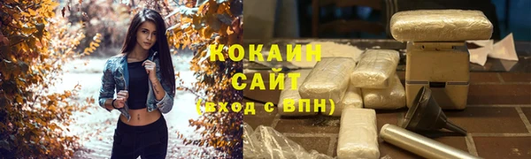 крисы Баксан